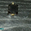 charm from a victorian charm braclet
