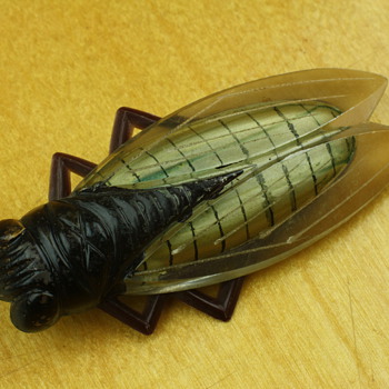 Bigger ciccada brooch