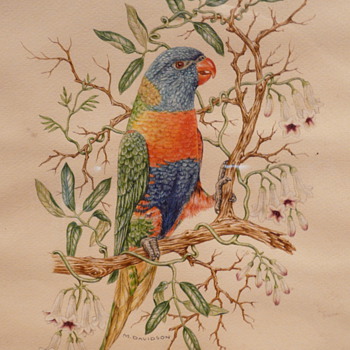 TWO AUSTRALIAN PARROTS - M. DAVIDSON