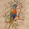 TWO AUSTRALIAN PARROTS - M. DAVIDSON
