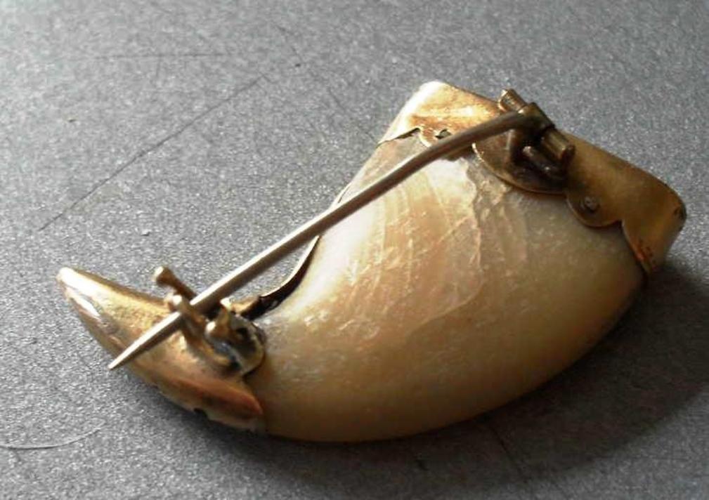 Rose gold decorated antique tiger claw brooch Collectors Weekly