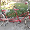 1966 huffy daisy / daisy