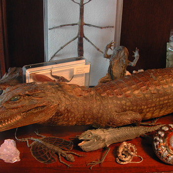 Naturalia