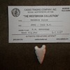 Meserve Arrowhead Point found in S.W. Arkansas