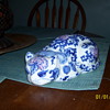 porcelian blue on white cat
