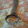 I don't know what this is