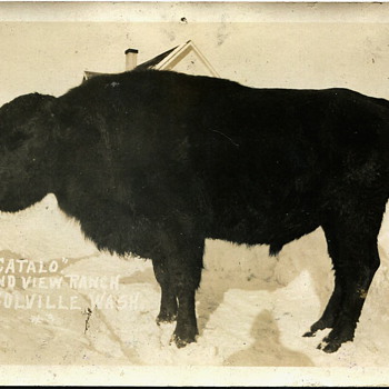 Eastern Washington 1920s Photos - Photographs