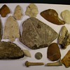 More "Finds" From 1300-1500 Florida Timucuan Indian Mounds in North East Florida