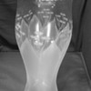 My Favorite Vase!