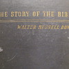 The Story of the Bible