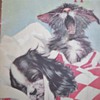 1938 Whitman Linen Kittens & Puppies Book