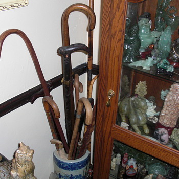 Cane and umbrella collection