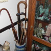 Cane and umbrella collection