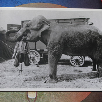 Circus side show postcard