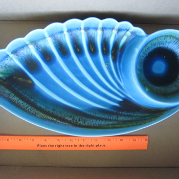 The Eye In The Shell