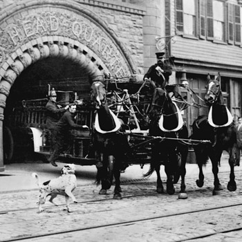 Boston Fiya Horses at work - Firefighting