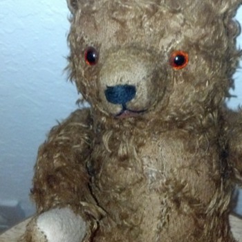 Unsolved Mystery Bear-Want to find out it's origin- - Animals