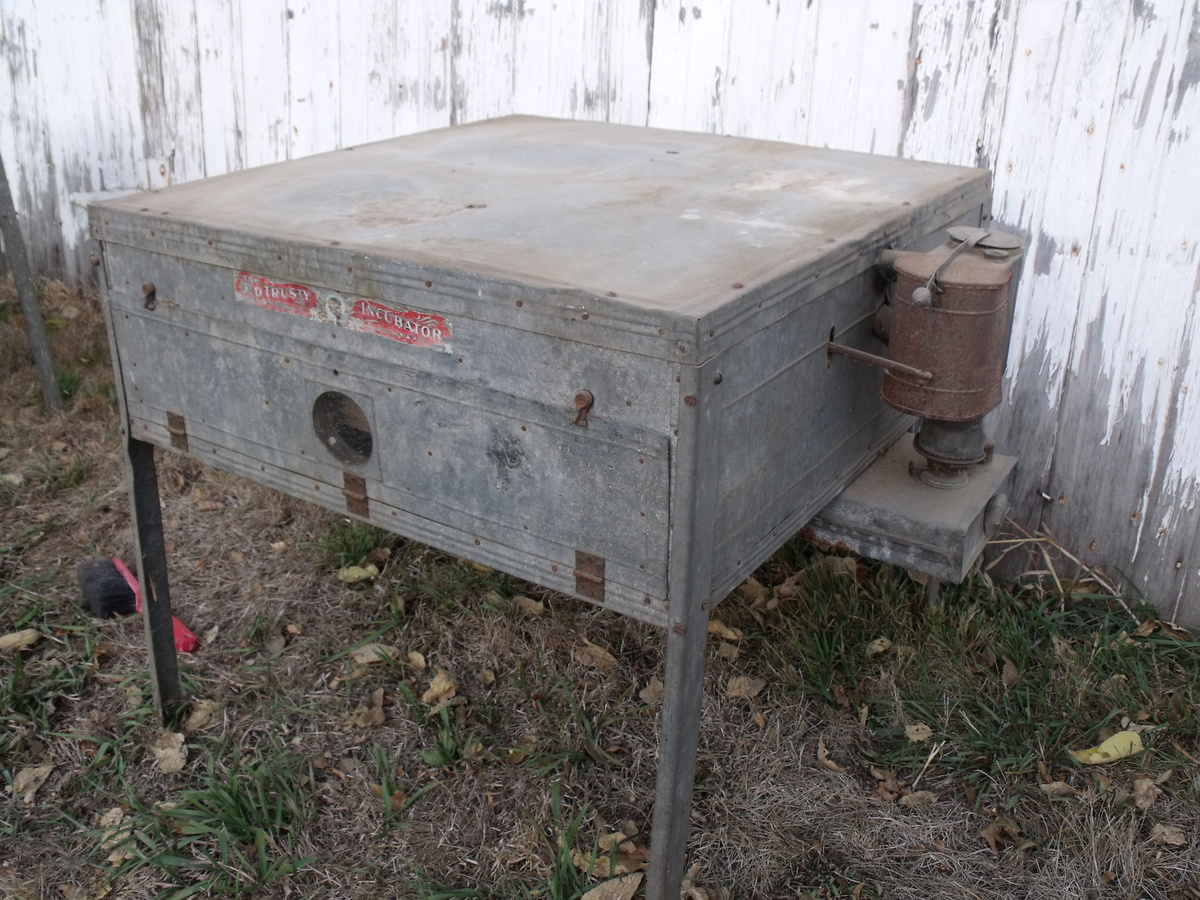 "Old Trusty" egg incubator Collectors Weekly