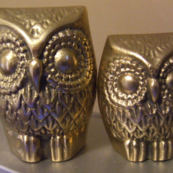 A few of my Owls - Animals