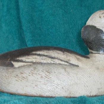 Peter M Pringle bufflehead drake