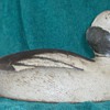 Peter M Pringle bufflehead drake