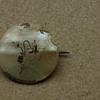 Victorian mother of pearl brooch