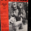 Issue of Dog World 1951