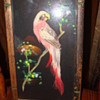 Real feather parrot picture.