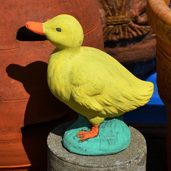 Duck... Duck... Goose! - Animals