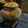 Hand Painted Nippon ?