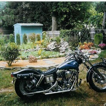 Home built Harley
