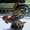 Rooster