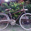 Western Flyer "Cosmic Flyer" Bicycle 