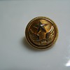 Button with star & wings