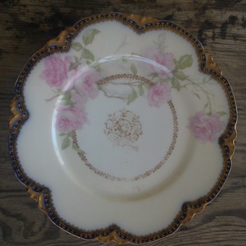 My Haviland Plate