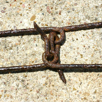 Barbwire