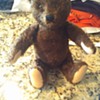 Can anyone help me identify these bears?? 