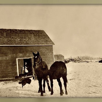 First house in Conquest Canada of my Great Aunt  - Photographs