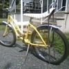 Schwinn Fair Lady 20 inch girls bike.