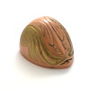pink nautilus shell ring box