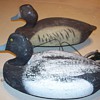 Cork bluebill decoys (1958) male and female
