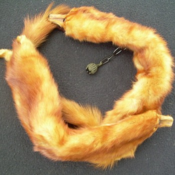 Mink collar color is red