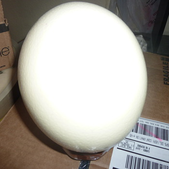 ostratche egg