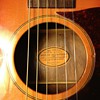 Mosrite Serenade