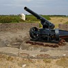 The Lost Guns of Jersey #2