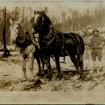 Eastern Washington Logging Scenes..1920s