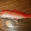 Can Anyone This Fish Decoy?