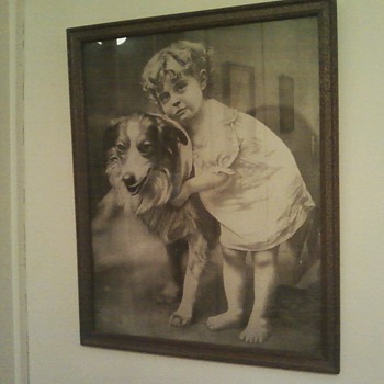 Girl with a Collie - Posters and Prints