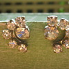 Clip on earrings