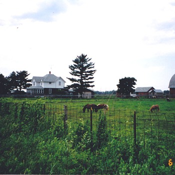 This was my farm I bought pd 27K ! - Photographs
